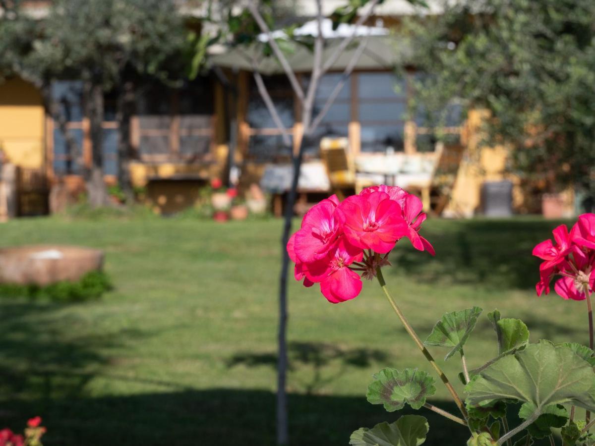 B&B Casa Decimo Greve in Chianti Extérieur photo